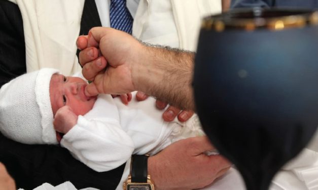 Belgium’s prosecution of circumcision is antisemitic, Jewish leaders say