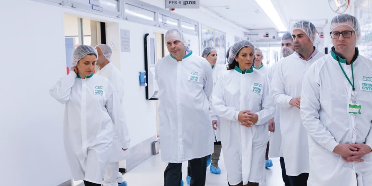 Israel must reverse the loss of its top scientists and doctors – opinion