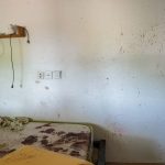 Denial of Hamas’s October 7 sexual atrocities must come to an end – editorial