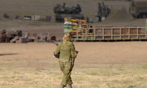 IDF logs over 2,000 cases of sexual harassment in 2025