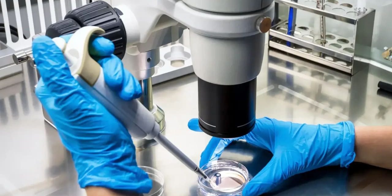 First case of hantavirus diagnosed in Israeli after visit to Eastern Europe