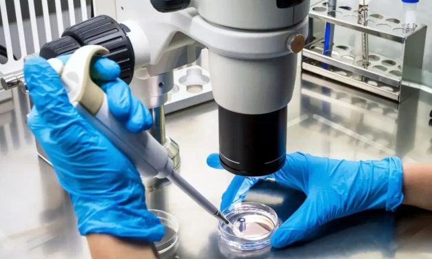 First case of hantavirus diagnosed in Israel after patient’s visit to Eastern Europe