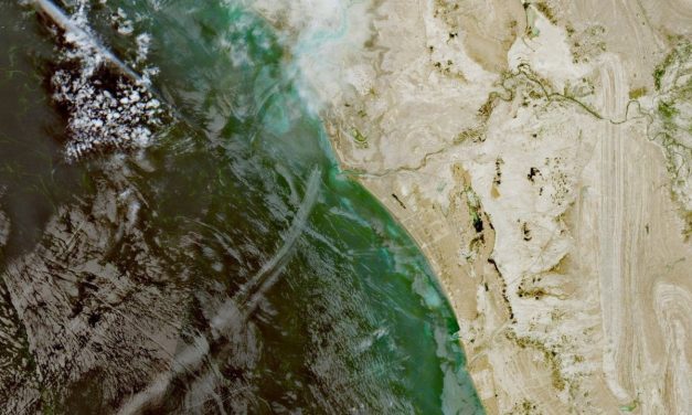 US carries out strikes on Iran, Strait of Hormuz, in retaliation for Tehran targeting US destroyers