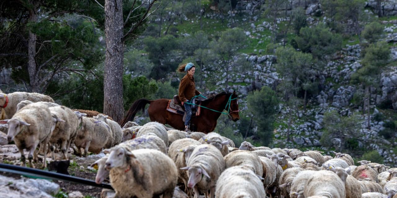 Israel’s new pioneers: The farmers safeguarding the West Bank – opinion
