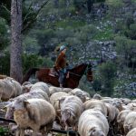 Israel’s new pioneers: The farmers safeguarding the West Bank – opinion
