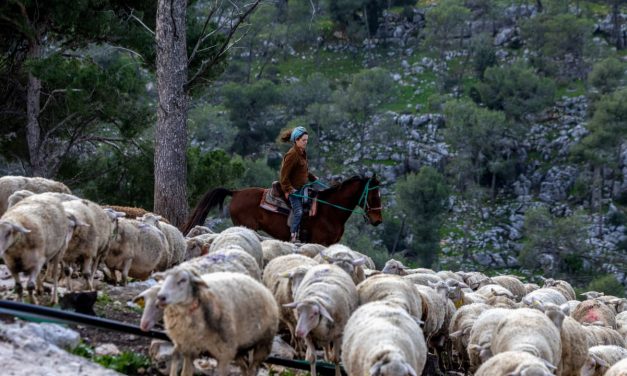 Israel’s new pioneers: The farmers safeguarding the West Bank – opinion