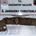 Turkish authorities reportedly seize gold Hebrew manuscript inscribed on python skin