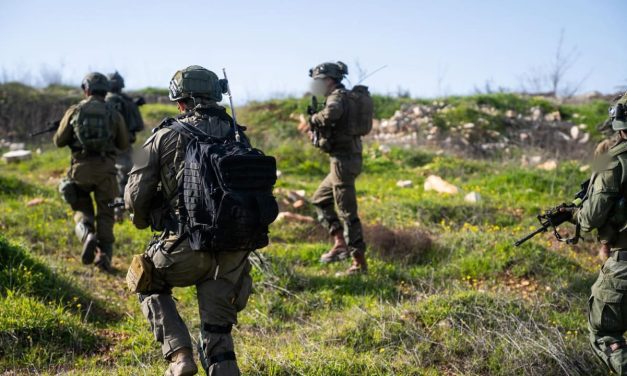 WATCH: IDF finds cache of over 100 Hezbollah weapons in south Lebanon