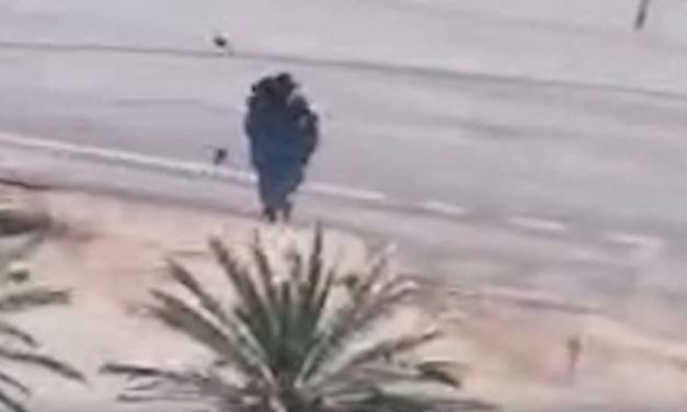 IDF kills two fleeing terrorists with drone in southern Lebanon