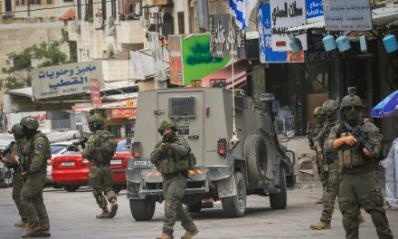 IDF questioning suspect in attempted hit-and-run in West Bank