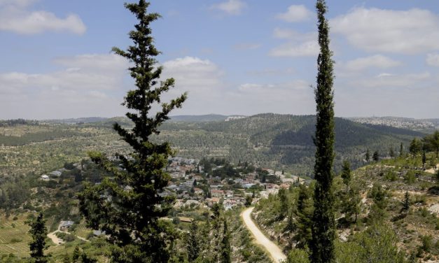 What’s Israel’s role in Judaism? Zionists’ duty is to know – opinion
