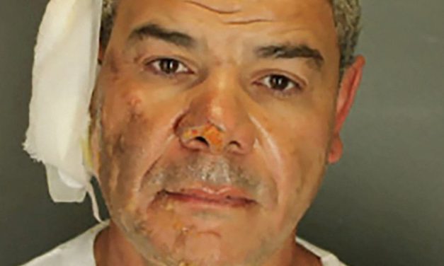 Colorado fire-bombing suspect pleads guilty to all state charges