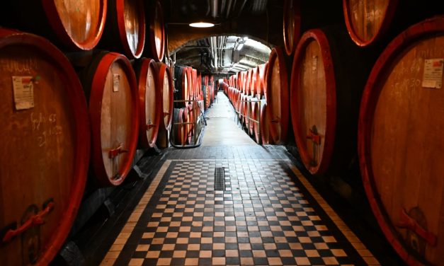 Soak, sip, savor: The ultimate Budapest experience