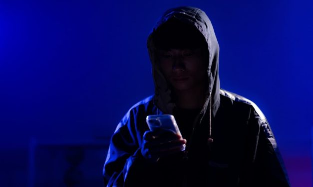 The Instagram bots of Indonesia and the antisemitism game making Jews feel unsafe online – opinion