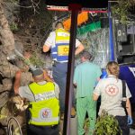 At least 11 injured after bus crashes into tree, electric pole on Tel Aviv’s Dizengoff Street