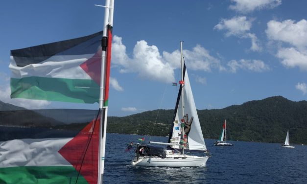All Gaza flotilla activists deported from Israel, Foreign Ministry announces