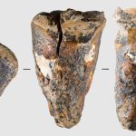 Neanderthal tooth from Siberian cave shows signs of earliest-known invasive dental surgery – study