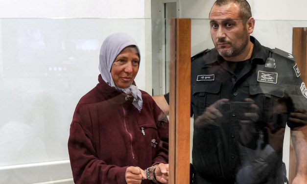 Israeli flotilla activist released under conditions as foreign participants deported