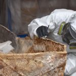‘Lexden Lady,’ wealthy Roman woman buried in lead coffin, goes on display in UK