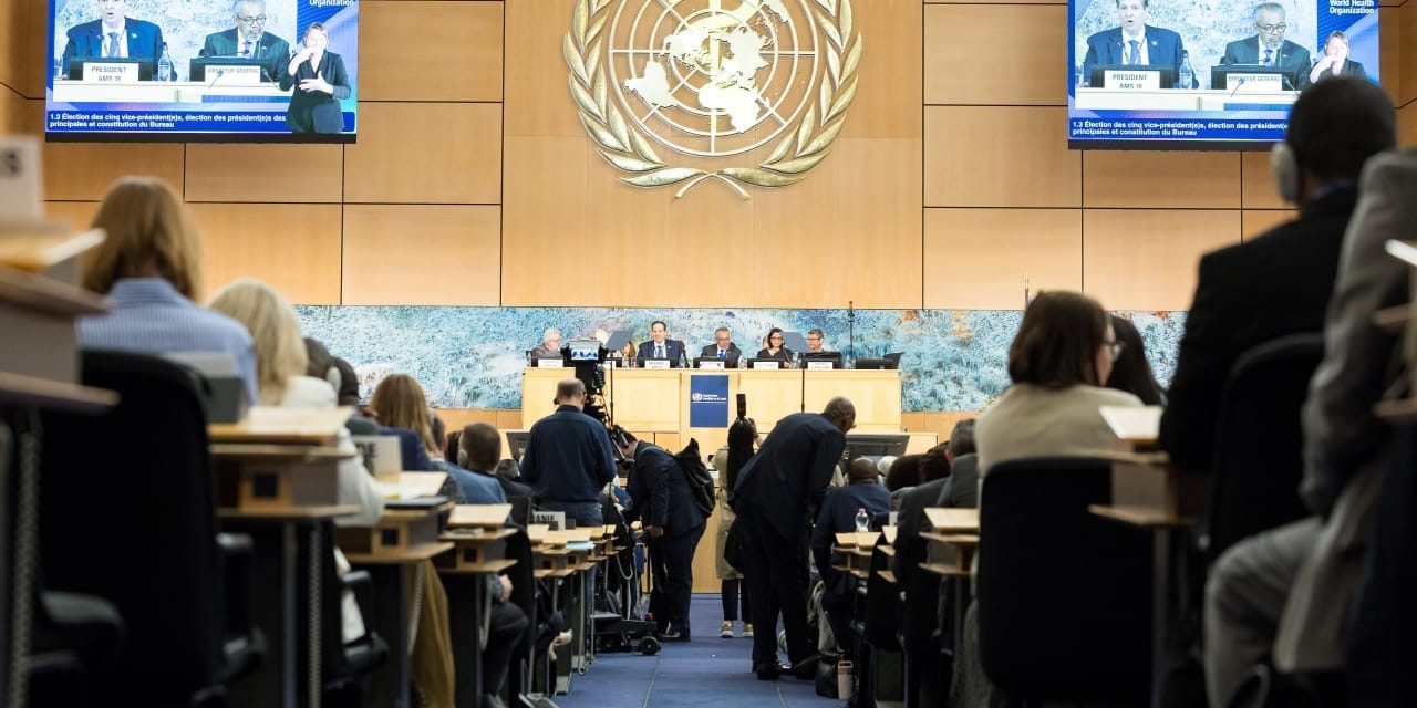 DPP’s WHO participation attempt doomed to fail – opinion