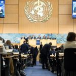 DPP’s WHO participation attempt doomed to fail – opinion