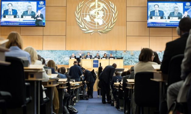 DPP’s WHO participation attempt doomed to fail – opinion