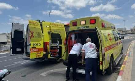 A 7-year-old girl who was shot in the head in Arara was pronounced dead