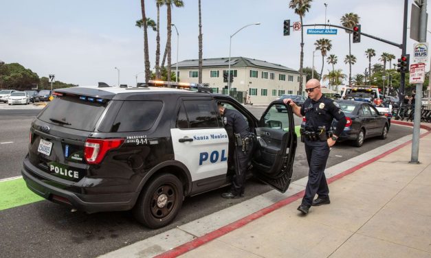 After Santa Monica attack, setting dog to bite Jewish victim, man charged but not with hate crime