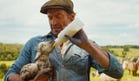 Why everyone should flock to see ‘The Sheep Detectives’