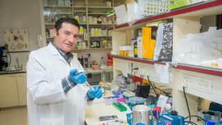 Can aging be reversed? Israeli scientists uncover major longevity breakthrough