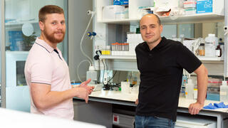 Israeli scientists find immune memory cells may help fight ovarian cancer