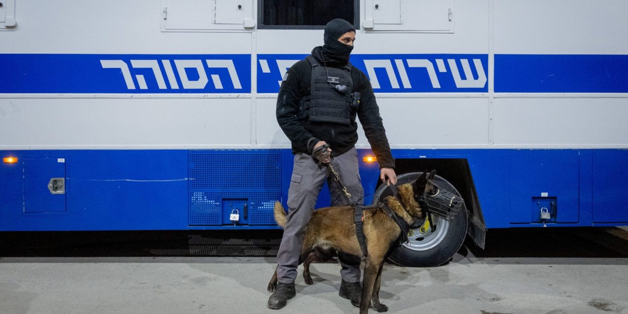 From Rutgers speaker to Kristof column, disputed dog rape claim against Israel goes mainstream