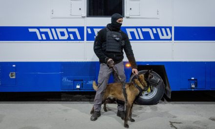 From Rutgers speaker to Kristof column, disputed dog rape claim against Israel goes mainstream