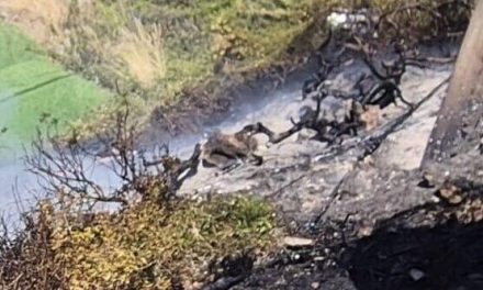 Relentless sirens sound across Galilee as Hezbollah drones hit Israel