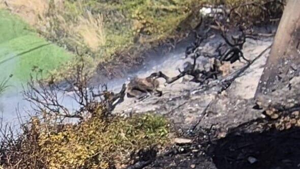 Relentless sirens sound across Galilee as Hezbollah drones hit Israel