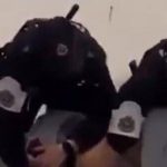 Clashes in Spain: Gaza flotilla activists beaten by police at Bilbao airport | Watch