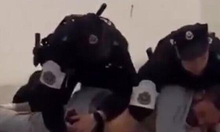 Clashes in Spain: Gaza flotilla activists beaten by police at Bilbao airport | Watch