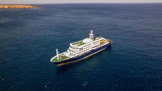 Deadly ‘COVID-style’ cruise shock: three killed in rare rodent-borne virus outbreak on board