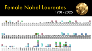 Do scientific prizes reward excellence or reinforce bias and outdated myths?