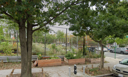 NYC community garden that barred Zionist members will now allow them, following legal settlement