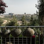 American-born former IDF soldier dies at 23 of apparent suicide