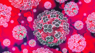 Hantavirus detected in semen after six years, but is it really dangerous?