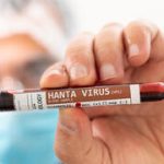 We can relax: Hantavirus is difficult to catch – it’s the next pandemic we have to be worried about