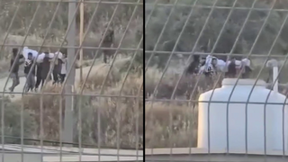 Settlers, soldiers force Palestinians to exhume body from West Bank grave