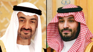 UAE wanted joint Iran strike, but Gulf neighbors balked, report says