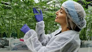 Israeli ‘turbo cannabis’ breakthrough could reshape medical marijuana industry