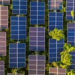 EDF closes financing for Israel’s biggest solar energy field