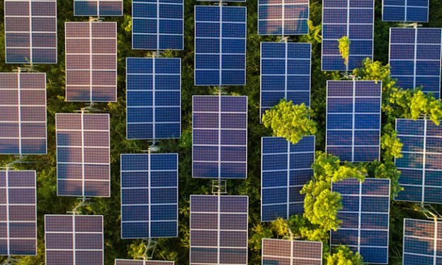 EDF closes financing for Israel’s biggest solar energy field