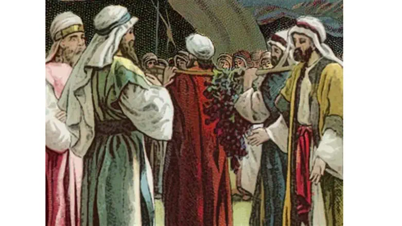 The sin of speaking ill of the Land