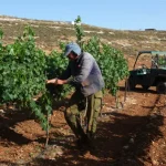 Binyamin Governor: ‘Response to sanctions must be dismantling of the PA’